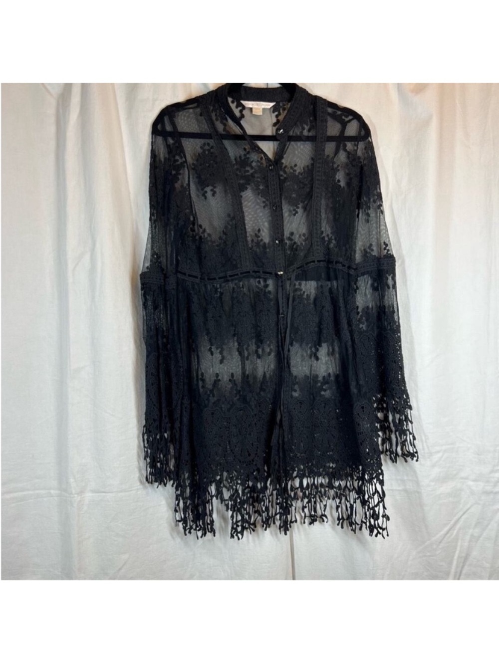 Boston proper whimsygoth lace embroidered sheer tunic top